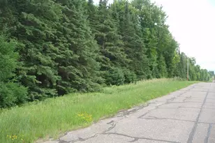 N16798 Bass Lake Rd, Butternut, WI 54514 - Photo 41