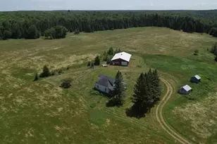 N16798 Bass Lake Rd, Butternut, WI 54514 - Photo 45