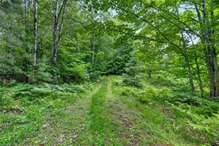 5590 Snowshoe Rd, Barnes, WI 54873 - Photo 39