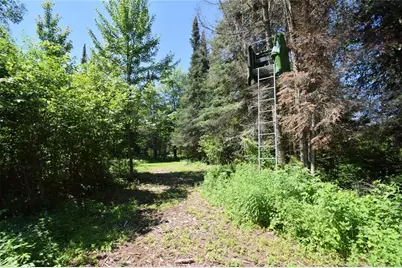 14622 S Swedish Highway, Dairyland, WI 54830 - Photo 59