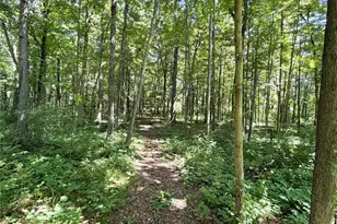 2024 9 3/4 Ave, Cameron, WI 54822 - Photo 23