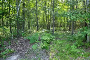 3724 W Sherwood Rd, Neillsville, WI 54456 - Photo 35