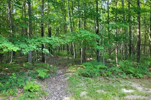 3724 W Sherwood Rd, Neillsville, WI 54456 - Photo 33