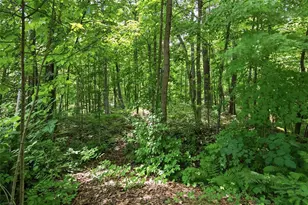 1314N County Hwy F, Birchwood, WI 54817 - Photo 31