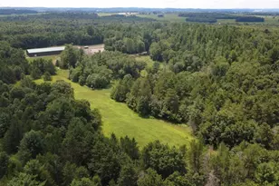W15236 Taylor Rd, Taylor, WI 54659 - Photo 37