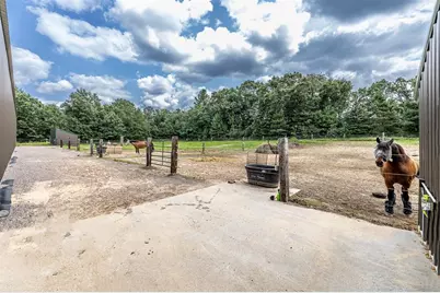 W15236 Taylor Road, Taylor, WI 54659 - Photo 11