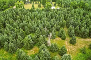 W9603 Ducommun Rd, Ladysmith, WI 54848 - Photo 43