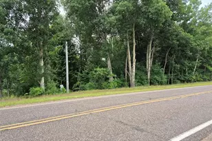 25420 County Hwy M (2 19 Acres), Holcombe, WI 54745 - Photo 29
