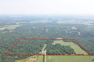 W13159 Sieck Rd, Bruce, WI 54819 - Photo 53
