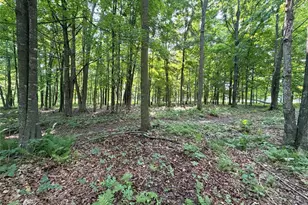 W13159 Sieck Rd, Bruce, WI 54819 - Photo 39