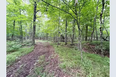 W13159 Sieck Road, Bruce, WI 54819 - Photo 37