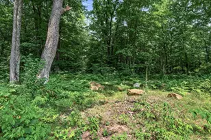 N9825 Crystal Waters Ct, Willard, WI 54493 - Photo 41