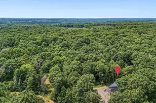 N9825 Crystal Waters Ct, Willard, WI 54493 - Photo 43
