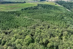 N8481 Kleba Rd, Hixon, WI 54635 - Photo 51
