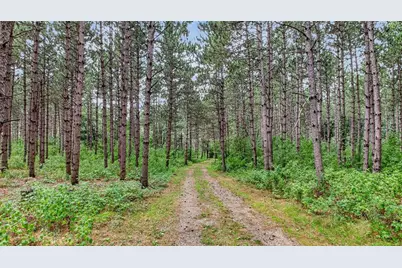 N8481 Kleba Road, Hixon, WI 54635 - Photo 41