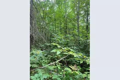 3801 Gaslyn Road, Webster, WI 54893 - Photo 23