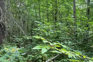 3801 Gaslyn Rd, Webster, WI 54893 - Photo 23