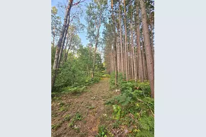 N8356 Lincoln Lake Road, Trego, WI 54888 - Photo 35