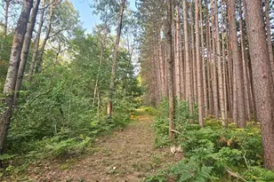N8356 Lincoln Lake Rd, Trego, WI 54888 - Photo 35