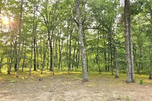 N8356 Lincoln Lake Rd, Trego, WI 54888 - Photo 21