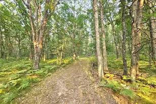 N8356 Lincoln Lake Rd, Trego, WI 54888 - Photo 27