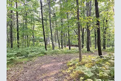 N8356 Lincoln Lake Road, Trego, WI 54888 - Photo 29