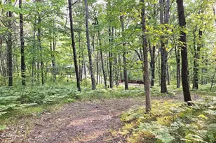 N8356 Lincoln Lake Rd, Trego, WI 54888 - Photo 29