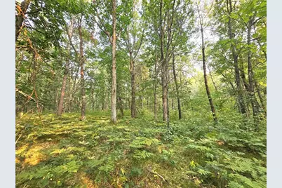 N8356 Lincoln Lake Road, Trego, WI 54888 - Photo 31