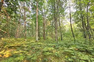 N8356 Lincoln Lake Rd, Trego, WI 54888 - Photo 31