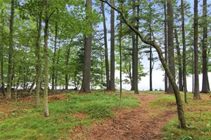 14982 213th Ave, Bloomer, WI 54724 - Photo 29