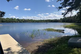 23229 Joy Villa Rd, Glidden, WI 54527 - Photo 13