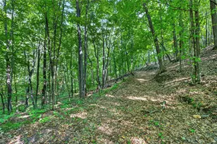 Xxx County Hwy B, Shell Lake, WI 54871 - Photo 17