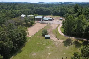W15236 Taylor Rd, Taylor, WI 54659 - Photo 35