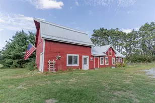 N51534 Buffalo Rd, Osseo, WI 54758 - Photo 19