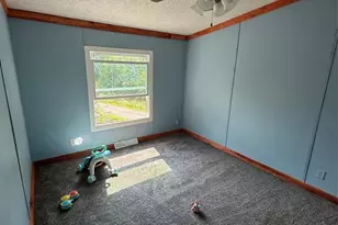 W5366 794th Ave, Spring Valley, WI 54767 - Photo 23