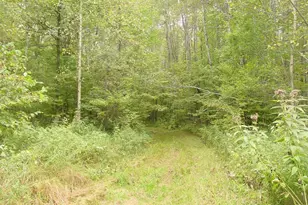 N5391 Hwy 73, Ingram, WI 54526 - Photo 23