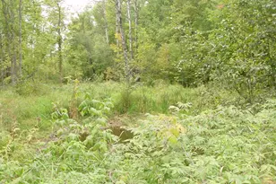 N5391 Hwy 73, Ingram, WI 54526 - Photo 25