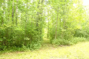 N5391 Hwy 73, Ingram, WI 54526 - Photo 19