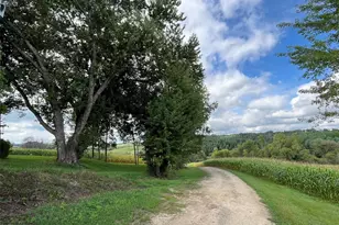 W16717 Holmen Rd, Osseo, WI 54758 - Photo 47