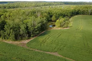 233482 Corinth Rd, Athens, WI 54411 - Photo 45