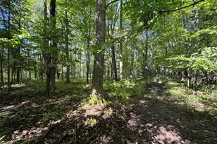 233482 Corinth Rd, Athens, WI 54411 - Photo 27