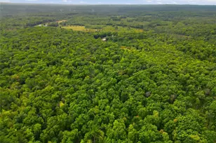 9025 County Rd H, Fairchild, WI 54741 - Photo 45