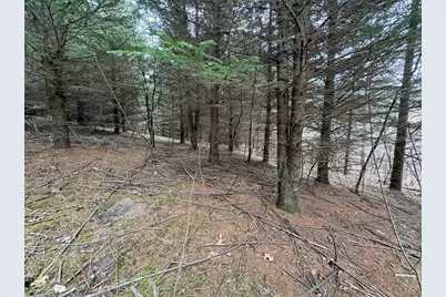 W1310 Earney Road, Alma, WI 54610 - Photo 35