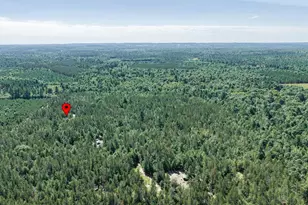 S10460 Black Creek Rd, Fairchild, WI 54741 - Photo 41