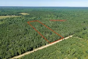 S10460 Black Creek Rd, Fairchild, WI 54741 - Photo 11