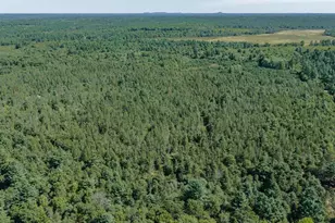 S10460 Black Creek Rd, Fairchild, WI 54741 - Photo 47