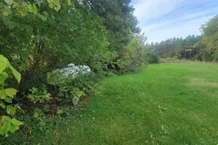 3585 Hwy 49, Rosholt, WI 54473 - Photo 7