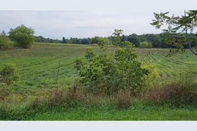 3585 Highway 49, Rosholt, WI 54473 - Photo 5