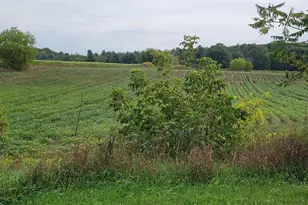 3585 Hwy 49, Rosholt, WI 54473 - Photo 5