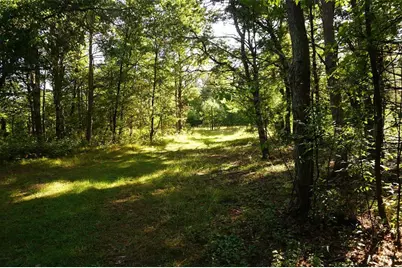 N9105 Flood -- Lot 5 Road, Adams, WI 54615 - Photo 3